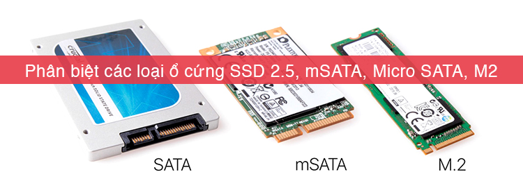 Cách phân biệt ổ cứng SSD mSATA, M2 SATA, M2 NVMe, Micro SATA