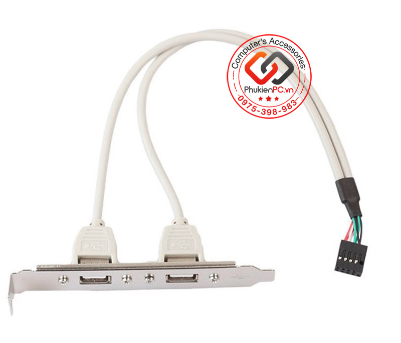 Cáp chuyển đổi USB 9 Pin mainboard ra 2 USB 2.0