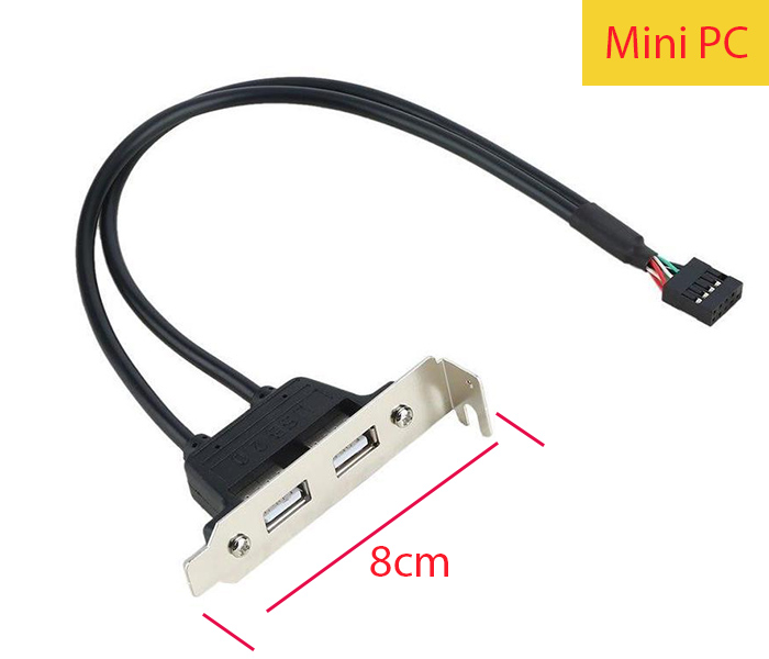 Cáp USB 9 Pin mainboard ra 2 USB 2.0 cho Mini PC