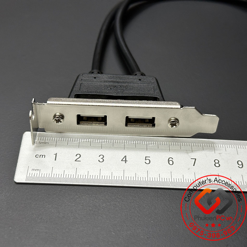 Cáp USB 9 Pin mainboard ra 2 USB 2.0 cho Mini PC