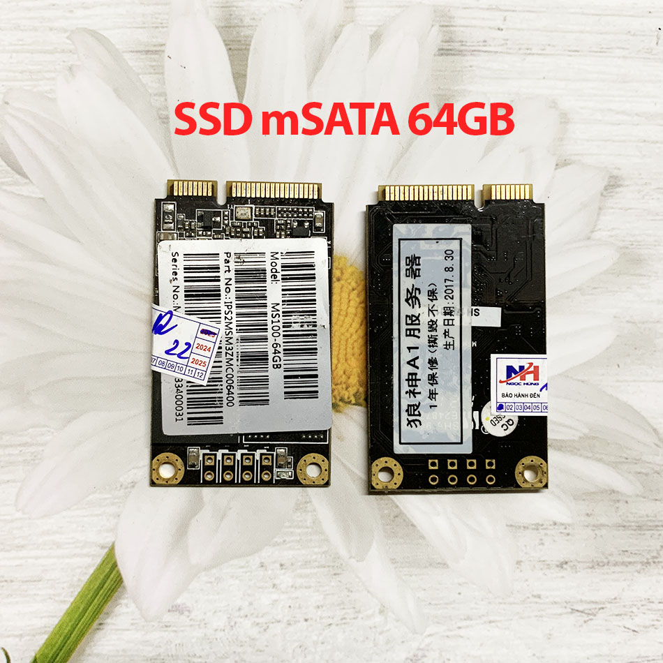 Ổ cứng SSD mSATA 64GB