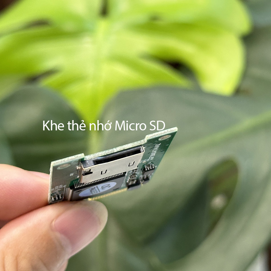 Adapter chuyển đổi Micro SD TF to mSATA