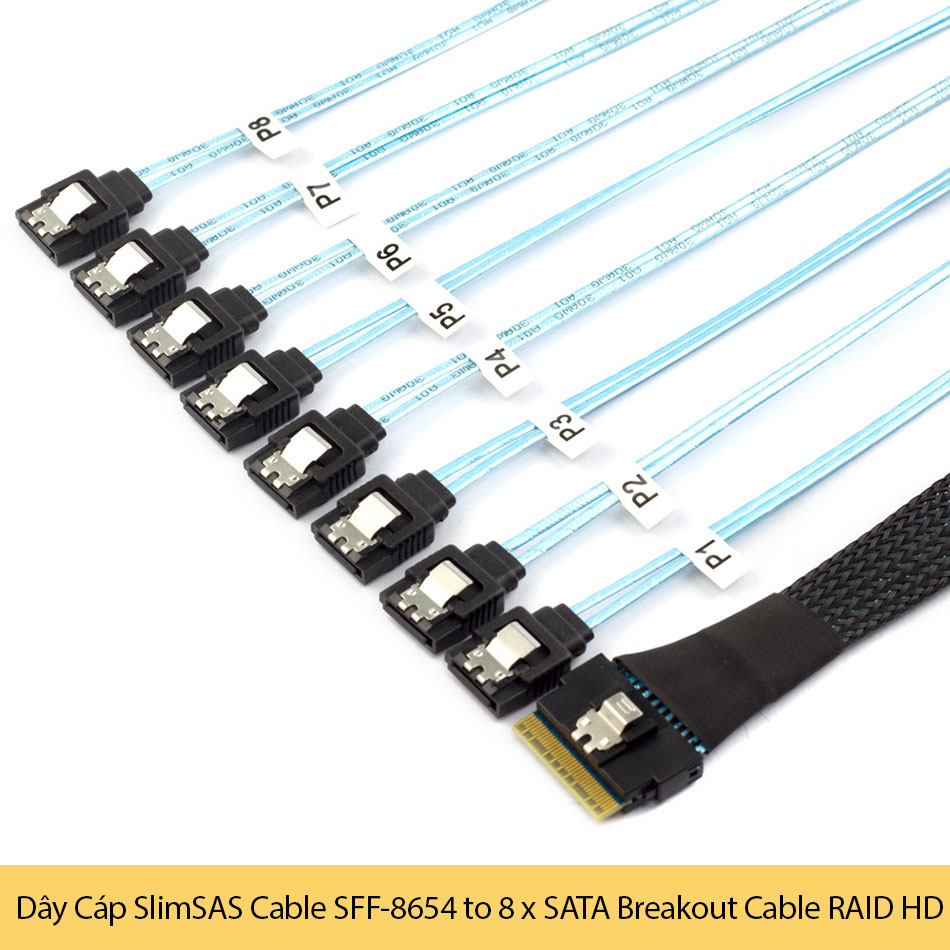 Dây Cáp SlimSAS Cable SFF-8654 8i to 8 x SATA HDD SSD Breakout Cable RAID