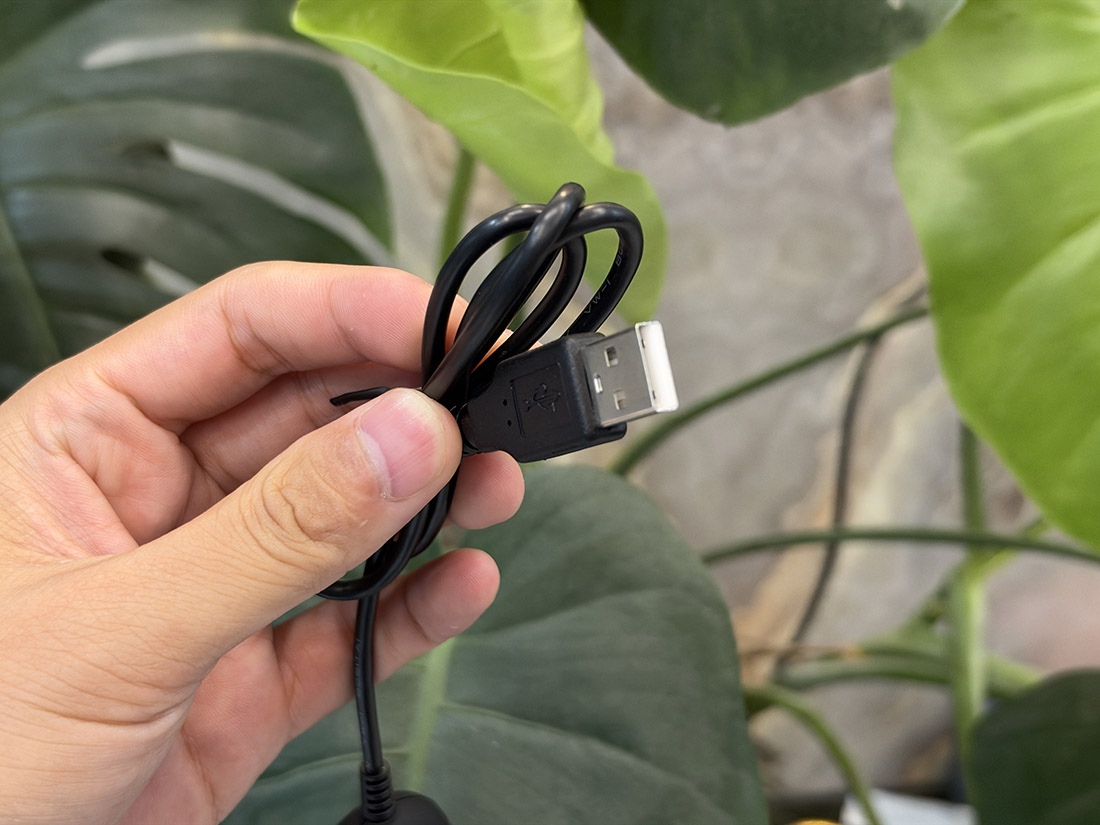 Cáp ghi hình USB sang AV RCA, S-video capture FullHD1080 cho máy siêu âm, nội soi - thương hiệu EZCAP chất lượng cao